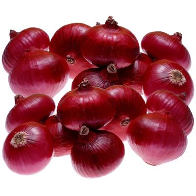 China 2023 brand fresh peeled onion price red and yellow onion peeled Chinese onions fresh vegetables for sales for sale