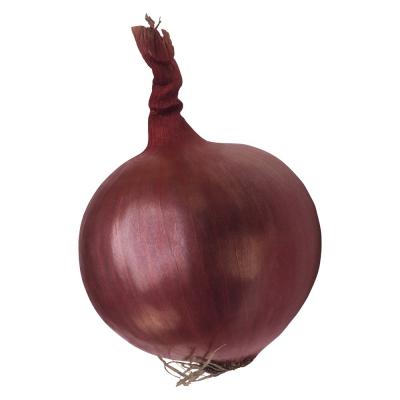 China 2023 brand fresh onions Red Shallot and yellow onion price per ton in China fresh thai red head big shallot for sale