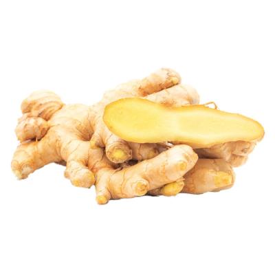 China Wholesale market prices for Air Dried Ginger fresh dry ginger high quality bulk ginger in China for sale