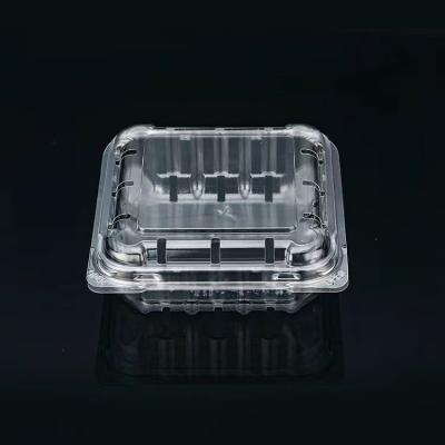 China 125g Disposable Disposable Blueberry Boxes Container Transparent Plastic Packing Boxes for sale