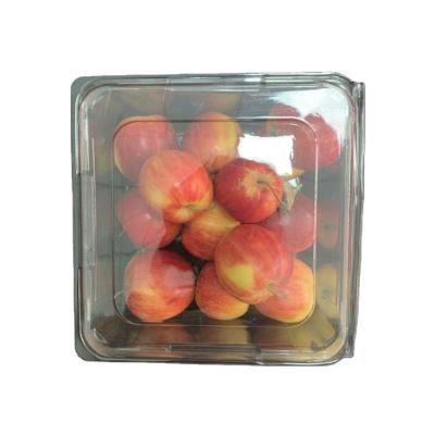 China China factory promotion disposable pet plastic blister clamshell fruit packaging box with reasonable price for sale