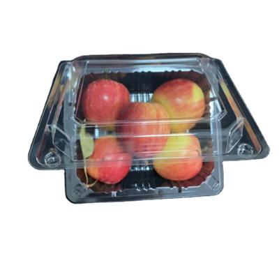 China Disposable PP/EVOH/PE Heat Sealing FOOD TRAY BOARD Vacuum Form Plastic Meat Tray for sale