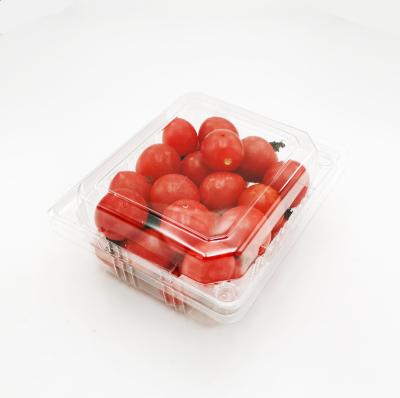 China Clear Transparent Transparent PET Blister Fruit Tray Fruit Packing Box Disposable Factory Made In Stock for sale