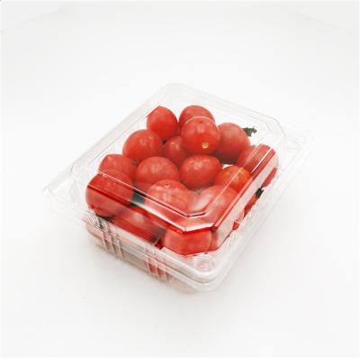 China Hot Selling Disposable Blisters Pet Biodegradable Packaging Box With Competitive Price for sale