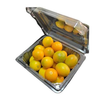 China Factory Made Disposable Blister Disposable Clear Pet Para Snack Food Packaging Plastic Tray For Sale Disposable For Sushi Plastic Box for sale