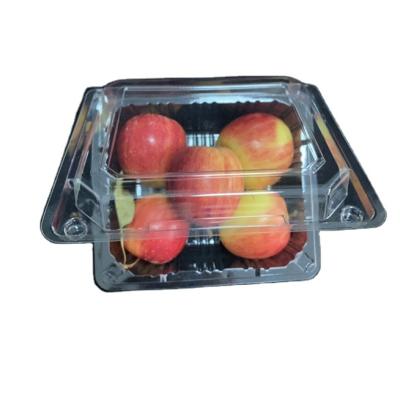 China China Disposable New Design Apple Box Plastic Vegetable Fruits for sale