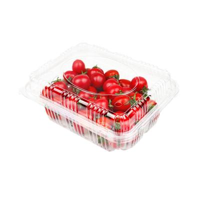 China Recyclable Fresh Fruit Container Crate Plastic PET Packing Box for sale