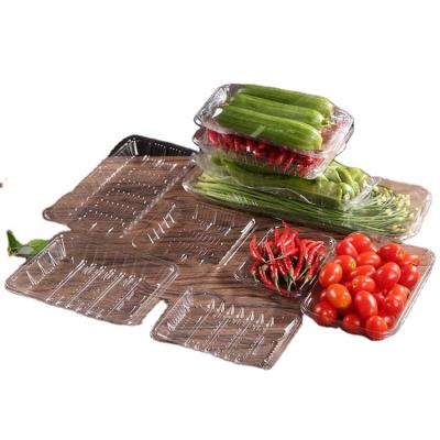 China Eco-Friendly Disposable Stored Clear Rectangular Plastic Tray Supermarket Packing Box Food Grade Tray Disposable Fresh Fruit And Vegetable for sale