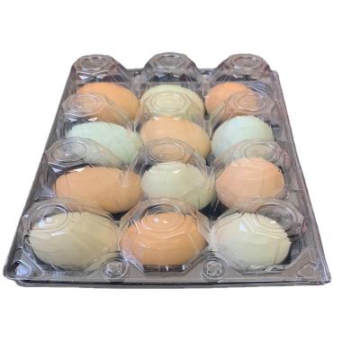 China Wholesale 12 Cell Egg Food Storage Container Eco Friendly Disposable Stored Clear Custom Plastic Egg Tray for sale