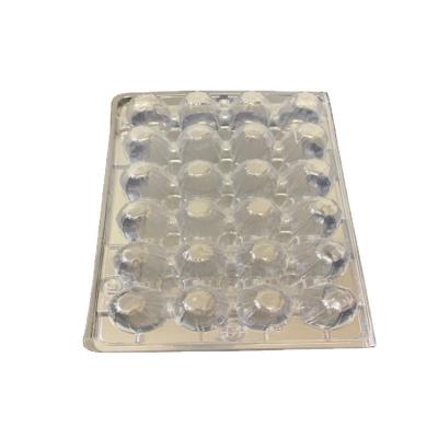 China 24 Disposable Plastic Quail Egg Holders With Clear Buckle Disposable Quail Egg Box Package for sale