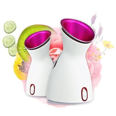 China Moisturizer Customized Spa Nano Steamer Facial Beauty Personal Care Spray Device Face Steamer for sale