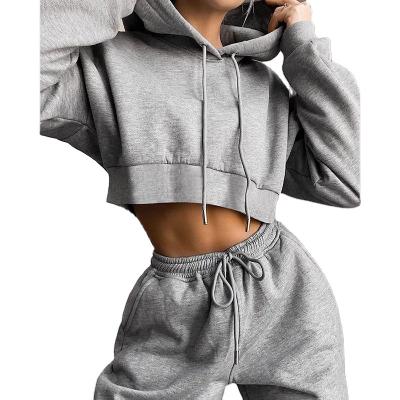 China New 2 Piece Set Winter Fashion Outfits Women Anti-Shrink Tracksuit For Female Tracksuit Hoodies Sweatshirt And Sweatpants Casual Sports Sets for sale