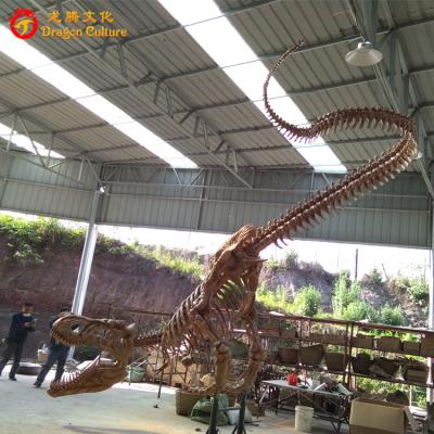 China Mall ; Park ; Musement and so on. Mail; Park ; Musement and so on. Outdoor Dinosaur Park Skeleton Dinosaur Barosaurus Reproductions for sale