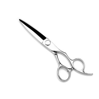 China HAIR Sell Well New Type Custom Printed Model Professional Barber Scissors Shears Hair for sale