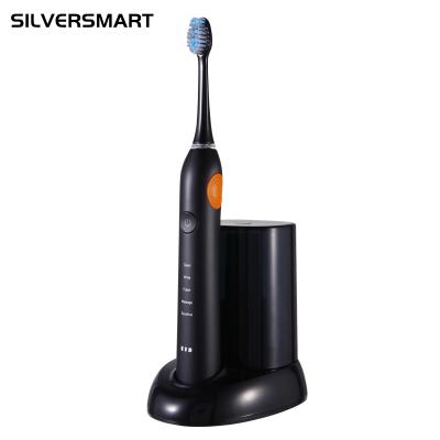 China Factory Direct Sale IPX7 Electronic Waterproof Adult Ultrasonic Electric Toothbrush Battery Operated for sale