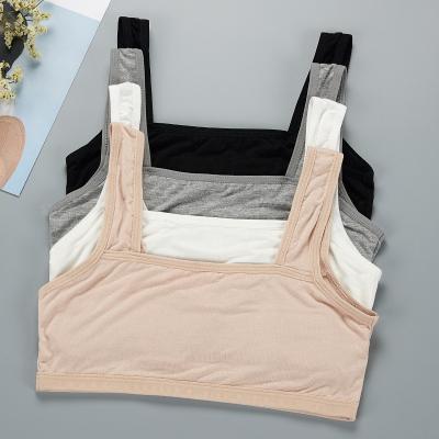 China Sustainable Modal Girls Vests Students Underwear During Development Strapless And Bra Wrapping Underwear for sale