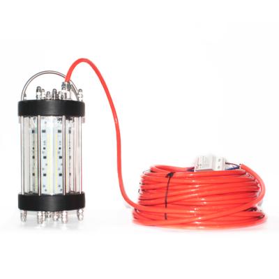 China SUS+AL+PMMA Seawater Deep Sea Underwater LED Fishing Net Light With High Quality for sale