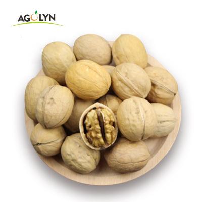 China AGOLYN Shell Fresh Delicious Nutrition Chinese Walnut Nutritious Thin Kernel for sale