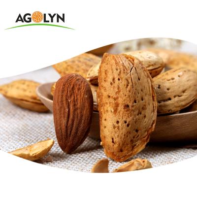 China Wholesale Use And Top Grade Dried Raw Snacks Almond Nuts for sale