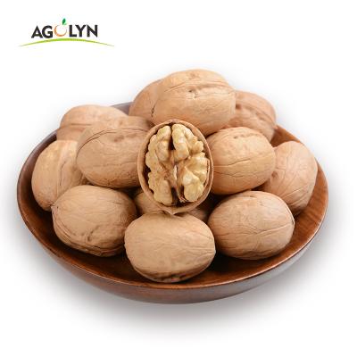 China AGOLYN 2021 Shell Fresh Nutrition Chinese Walnut/Walnut Dry Paper Core for sale