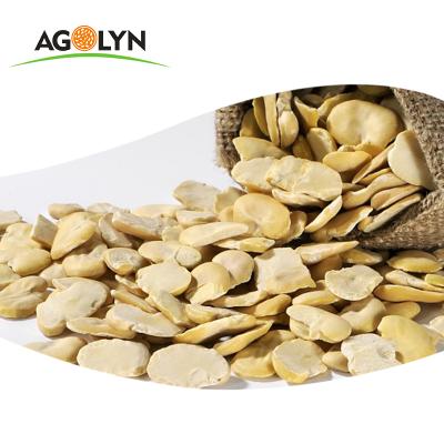 China New Dried Crop Wholesale Best Price Canned Dried Peeled Split Beans For Sale for sale