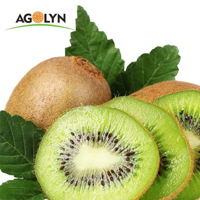 China AGOLYN Dry Kiwi Crispy Dried Fruit Natural Taste 100% Good for sale