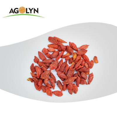 China High Quality Natural 100% Pure Dried Lycium/Goji Chinese Wolfberry/Organic Fresh Dried Berries for sale