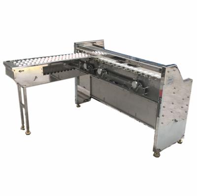 China Full Automatic Dairy Factory Egg Grading Machine For Sale, Poultry Egg Sorting Grading Packing Machine for sale