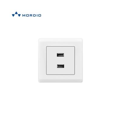 China PC wire drawing board. Copper Fit White European Electrical Switch O100 2usb Socket For Wholesaler for sale