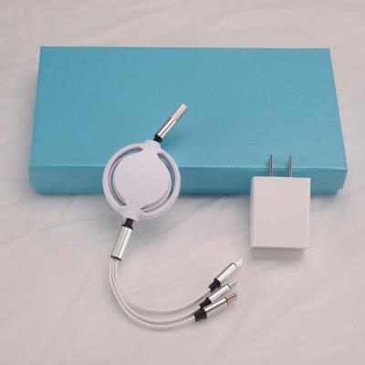 China Fast Charging Speed ​​Hot-selling White Color Multi Function Usb Cable Fast Charging 3 Charger In 1 Data Storage Box With Type-C Connector for sale