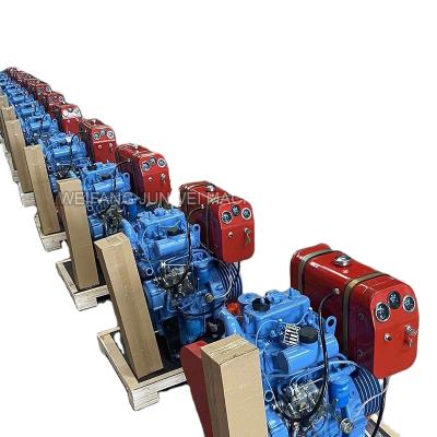 China Water cooled 22hp 2 horsepower large cylinder twin cylinder air cooled agricultural diesel engines for sale for sale