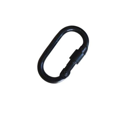 China Retail Industry High Quality 25kn CE Climbing Carabiner Climbing Carabiner for sale