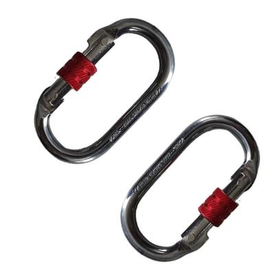 China US China Factory Make Wholesale Fashion Steel D Carabiner for sale