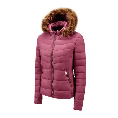 China Beautiful Custom Viable High Quality Simple Ladies Winter Wears Women Jacket Padded Coats With Detachable Candy Fur for sale