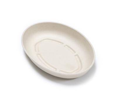 China 26oz 800ml Disposable Oval PET Dome Dessert Fruit Lid Lunch Food Box Traditional Bagasse Pulp Box Disposable Oval Container for sale