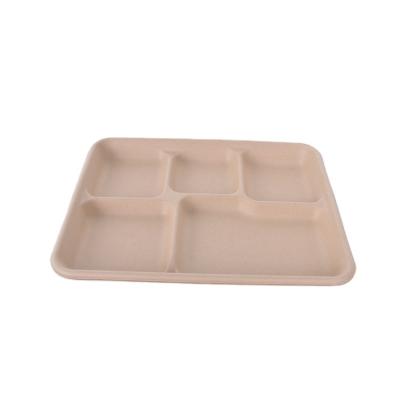 China 5 Grids Customized Wholesale Biodegradable Wheat Straw Pulp Tableware Food Disposable Tray for sale