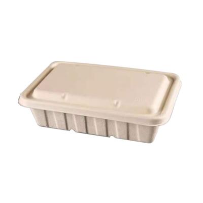 China Modern Factory direct sale 2500ml bagasse food box environmental protection disposable takeaway box with lid for sale