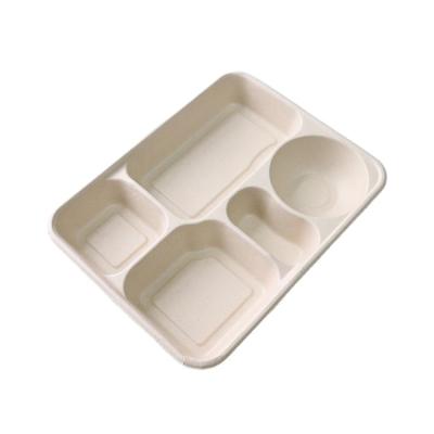 China Wholesale Custom Biodegradable Sugar Cane Pulp Tableware 5 Grid Food Tray Simple Low Price for sale