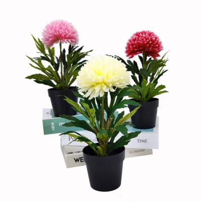 China Factory Sale Minimalist Amazon Daisy Artificial Potted Bonsai Fast Delivery Silk Flower For Home Decor Indoor Decoration for sale