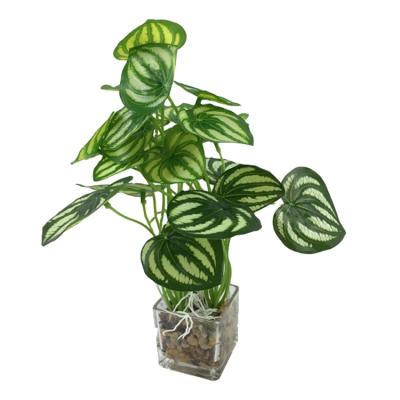 China Minimalist OEM /ODM Gift Hydroponics Plants Faux Greenery Tabletop Decorative Artificial Bonsai With Glass Pots For Home Decor for sale