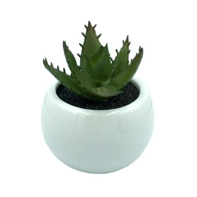 China Minimalist Ceramic Round Mini Potted Artificial Succulent Plant In Pot Ceramic Bonsai For Home Office for sale