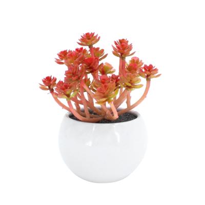 China Hot Selling Minimalist Artificial Fake Potted Succulent Plant In Ceramic Round Pot Succulent Bonsai For Home Decoration for sale