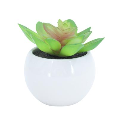 China Minimalist Ceramic Round Potted Artificial Succulent Plant In Pot Ceramic Bonsai For Home Office for sale