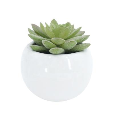 China YIWAN minimalist hot sale mini green artificial succulent bonsai with ceramic pot for home office decoration small bonsai pot for sale