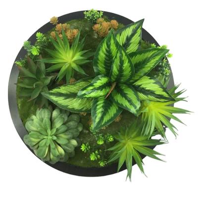 China Wholesale Plants Wall Decoration Artificial Succulent New Hot Sale Minimalist Design For Home Decoration for sale