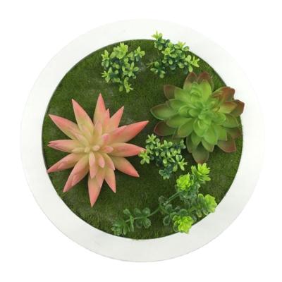 China Wholesale Plants Wall Decoration Artificial Succulent New Hot Sale Minimalist Design For Home Decoration for sale