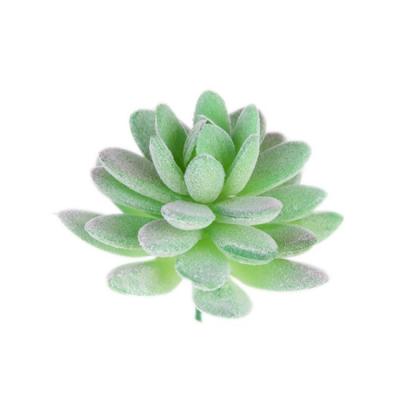 China Custom Made Eco-Friendly Supply Cheap Artificial Cactus Plant Succulent Plant for sale