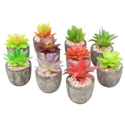 China Eco-Friendly Assorted Succulent Artificial Succulent Plants Decorative Fake Cactus Plants With Gray Pots for sale