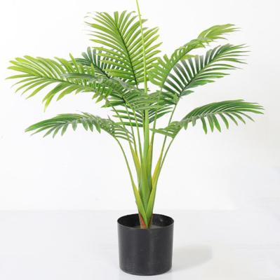 China High Quality Eco-friendly Simulation Artificial Green Decorative Palm Tree 80cm Plant Palm for sale