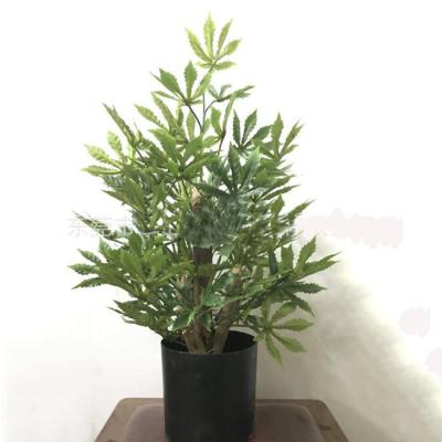 China 2019 Eco - Friendly Hot Sale Factory Price Silk Artificial Weed Plant In Pot for sale